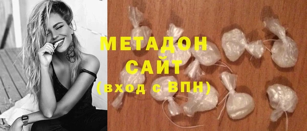 индика Алексин