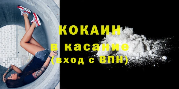 индика Алексин