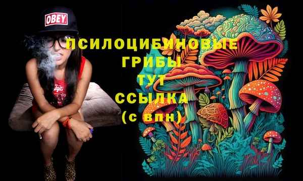 индика Алексин
