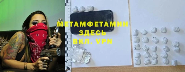 индика Алексин