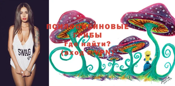 индика Алексеевка