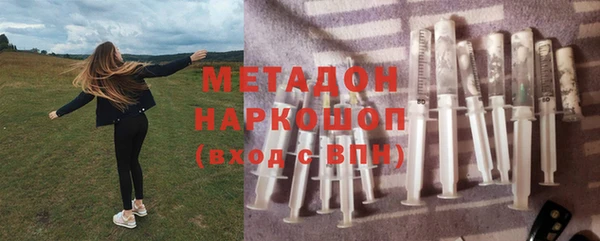 индика Алексин