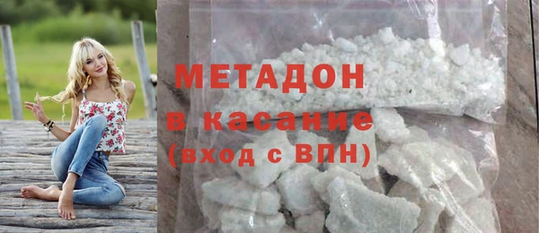 индика Алексин