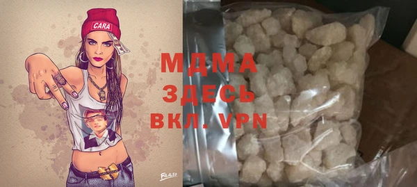 индика Алексин
